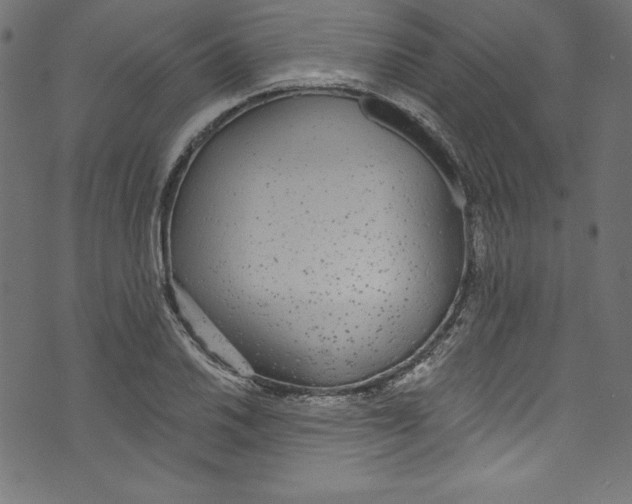 X0000072971030200608211317