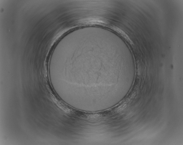 X0000072971031200608211317