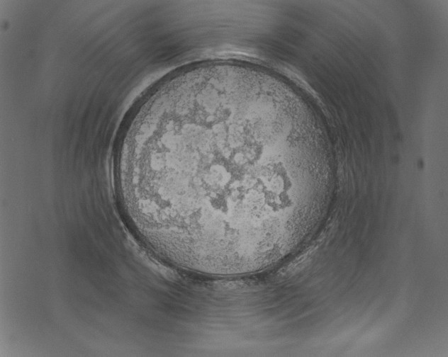 X0000072971032200608211317