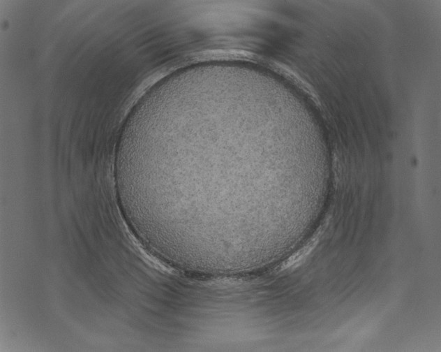 X0000072971033200608211317