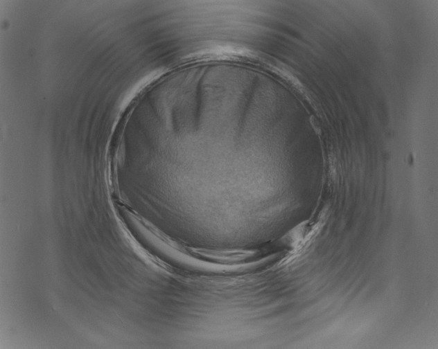 X0000072971034200608211317