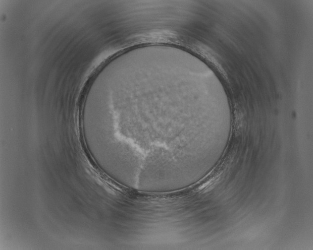 X0000072971035200608211317