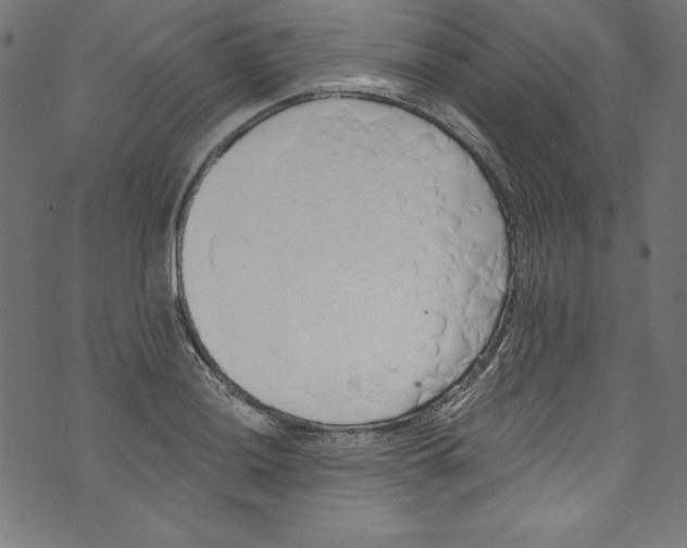 X0000072971036200608211317