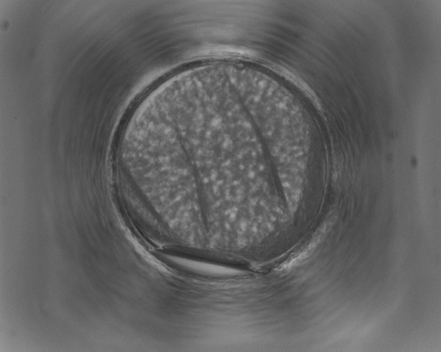 X0000072971037200608211317