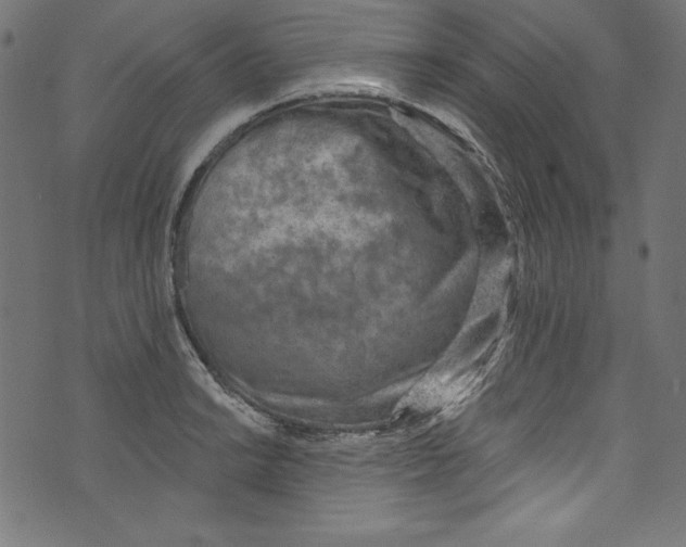 X0000072971038200608211317