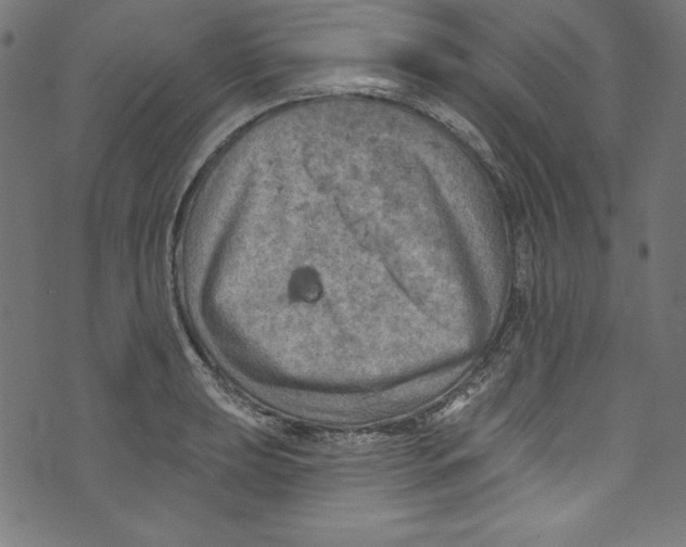 X0000072971039200608211317