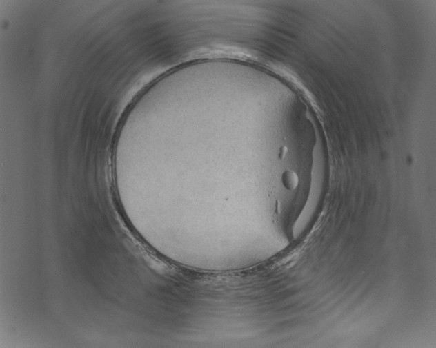 X0000072971040200608211317