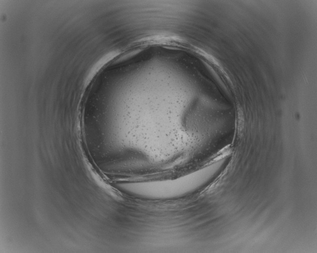 X0000072971042200608211317