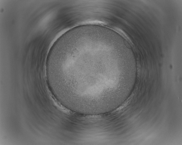 X0000072971044200608211317