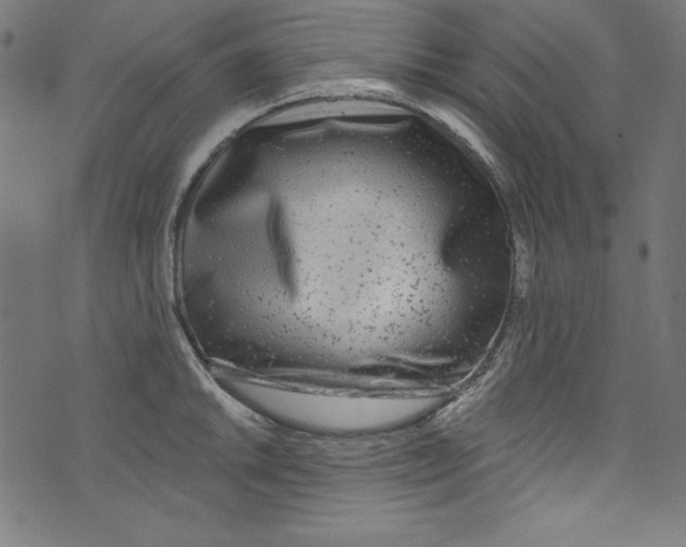 X0000072971046200608211317