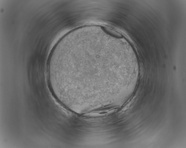 X0000072971048200608211317