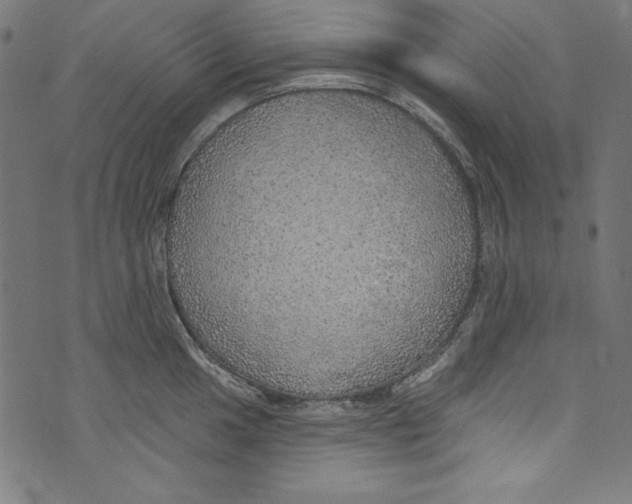 X0000072971049200608211317