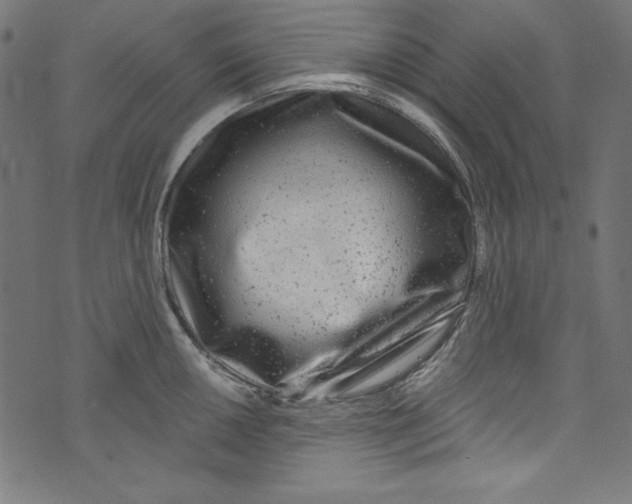 X0000072971050200608211317