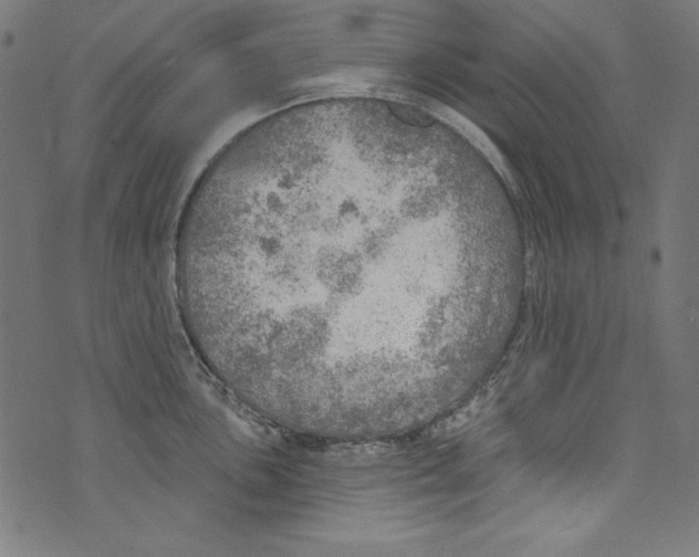 X0000072971051200608211317