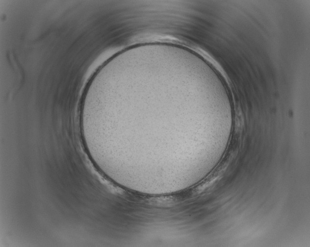 X0000072971053200608211317