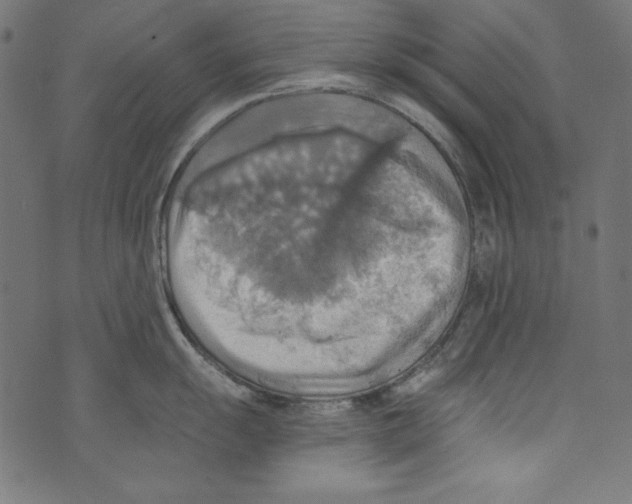 X0000072971055200608211317