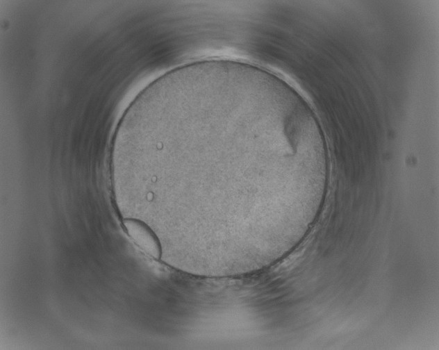 X0000072971056200608211317