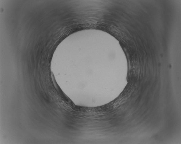 X0000072971057200608211316