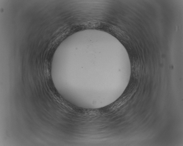 X0000072971058200608211316