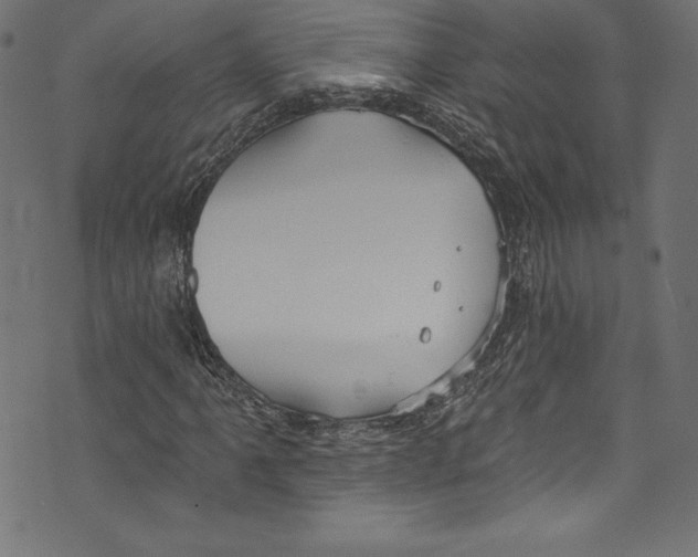 X0000072971061200608211316