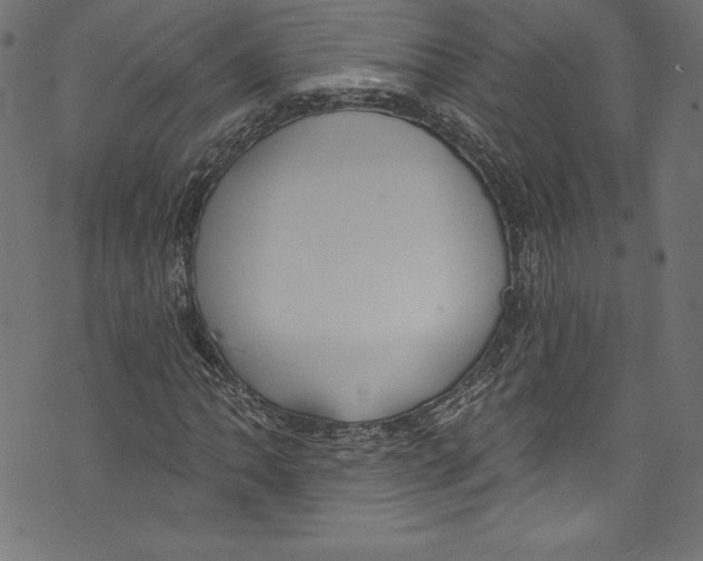 X0000072971062200608211316