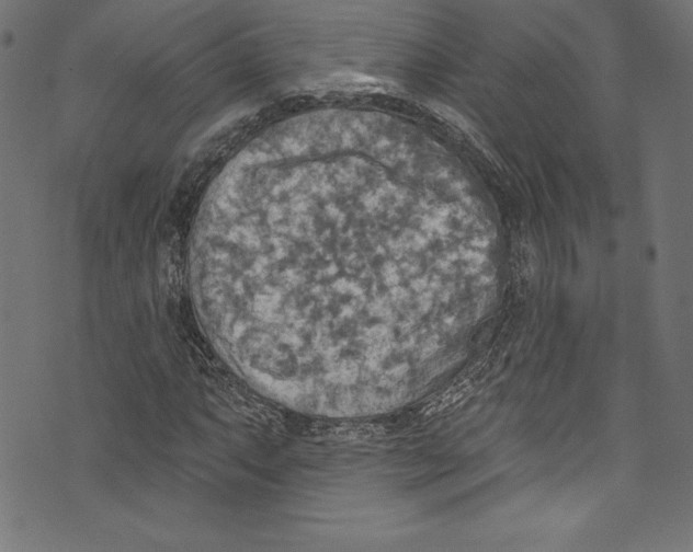 X0000072971063200608211316