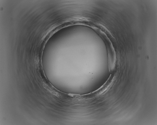 X0000072971065200608211316