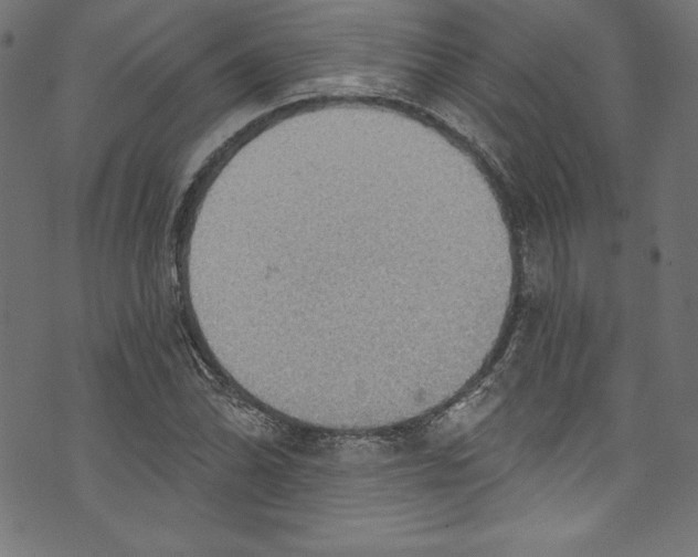 X0000072971070200608211316