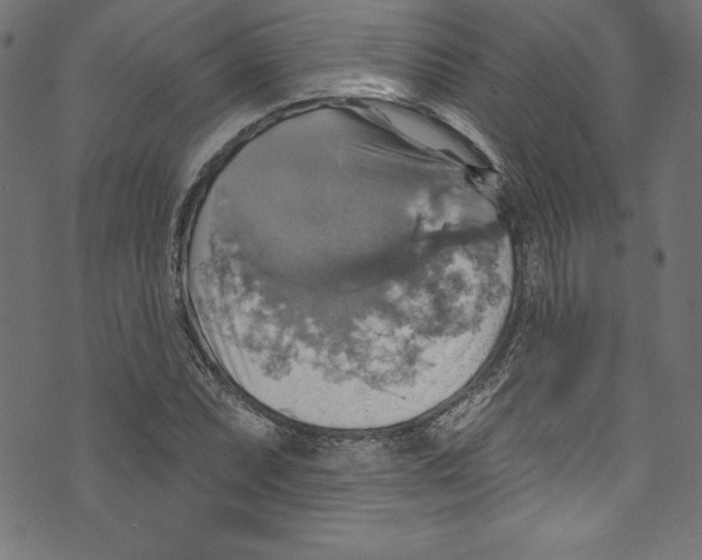 X0000072971071200608211316