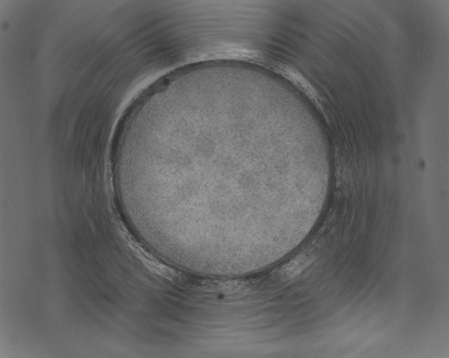 X0000072971072200608211316