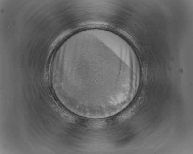 X0000072971074200608211316