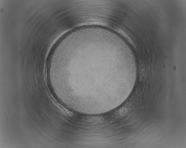 X0000072971076200608211316