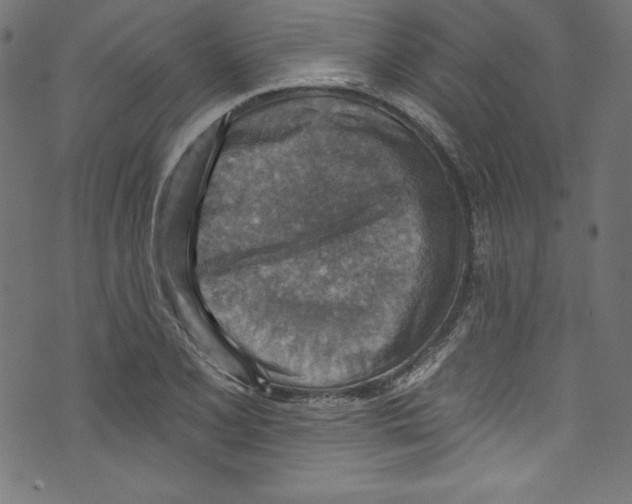 X0000072971077200608211316