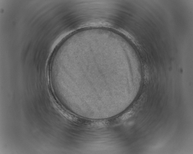 X0000072971078200608211316