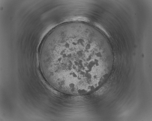 X0000072971079200608211316