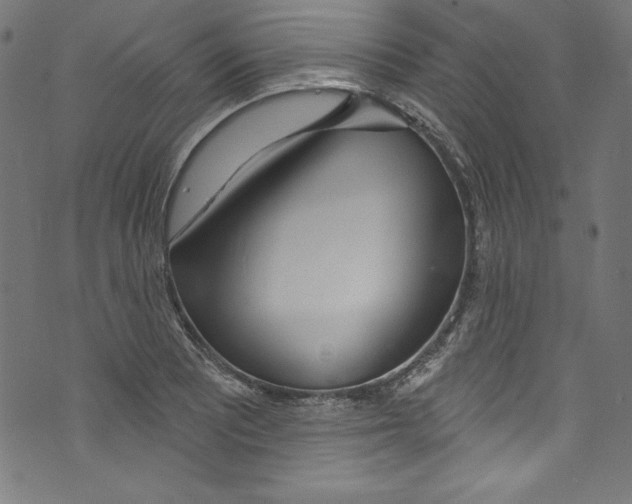 X0000072971081200608211316