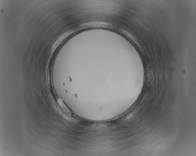 X0000072971082200608211316