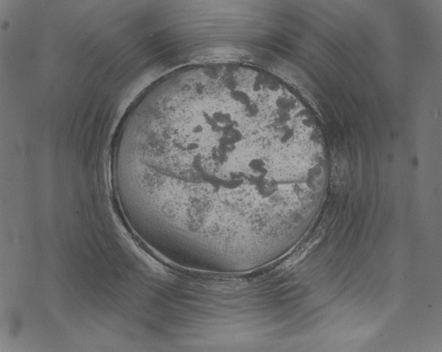 X0000072971083200608211316