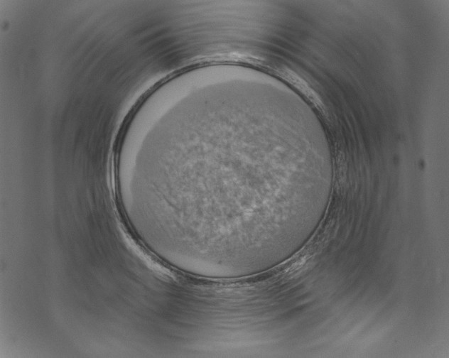 X0000072971084200608211316