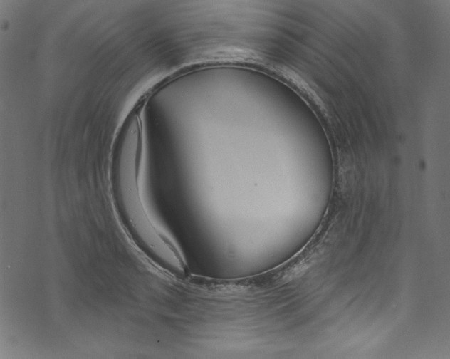 X0000072971085200608211316