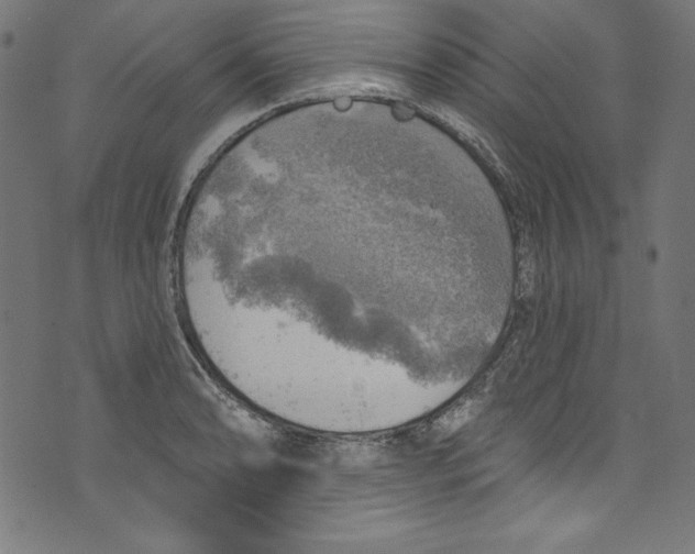 X0000072971086200608211316