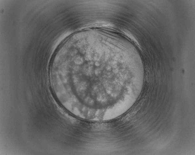 X0000072971087200608211316