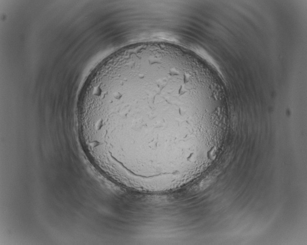 X0000072971088200608211316