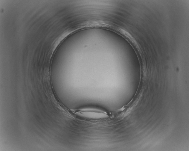 X0000072971089200608211316