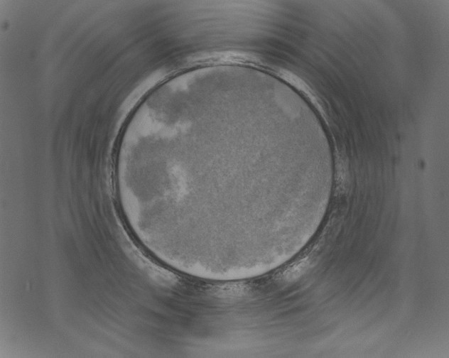 X0000072971090200608211316