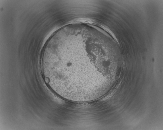 X0000072971091200608211316