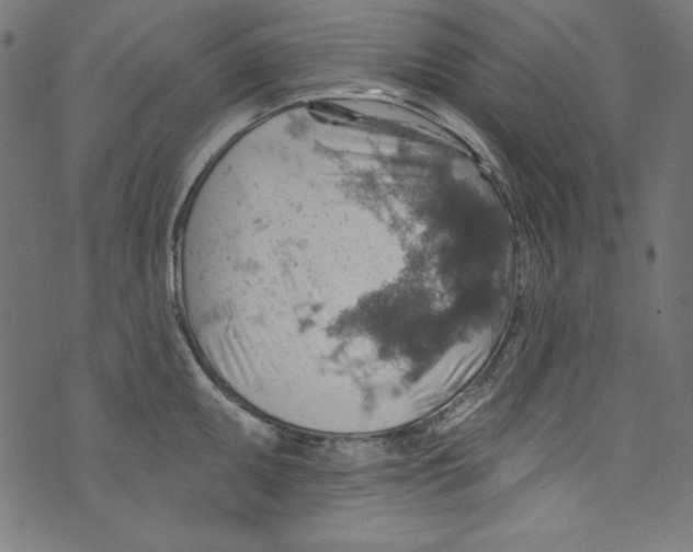 X0000072971095200608211316