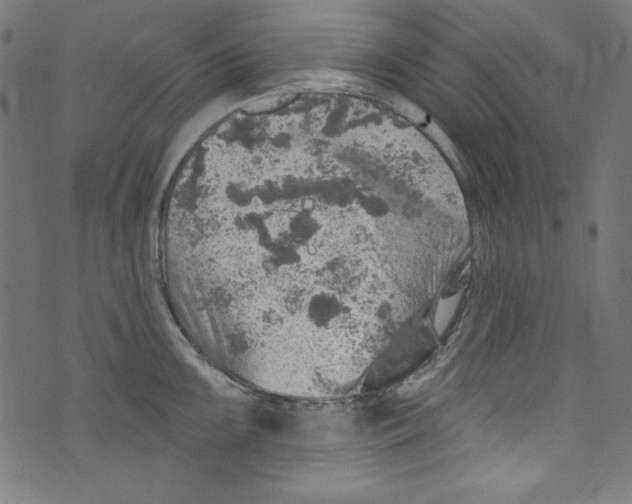 X0000072971099200608211315