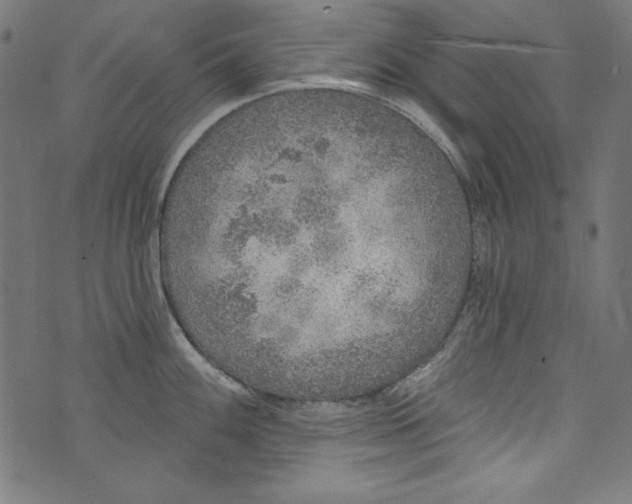 X0000072971100200608211315