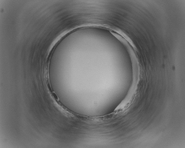 X0000072971101200608211315